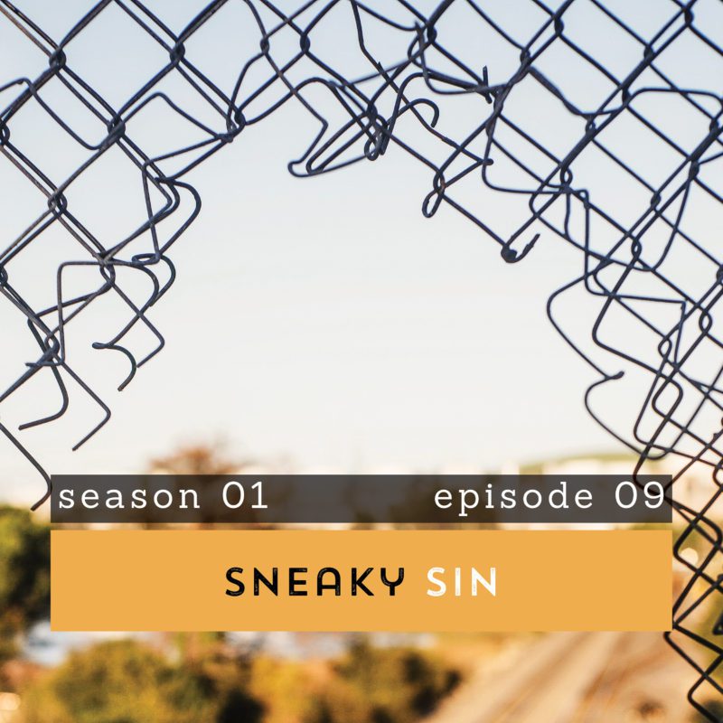 The Pantry Podcast Sneaky Sin