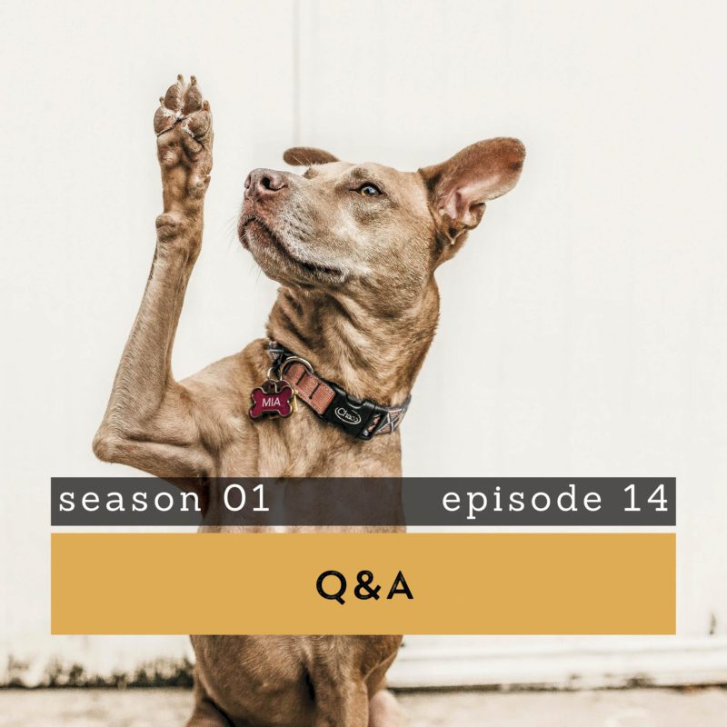 The Pantry Podcast Q&A