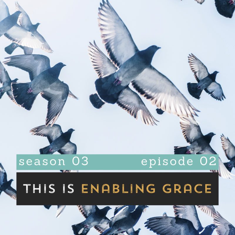 The Pantry Podcast Season 3 Episode 2 This Is Enabling Grace - Pigeons in Flight