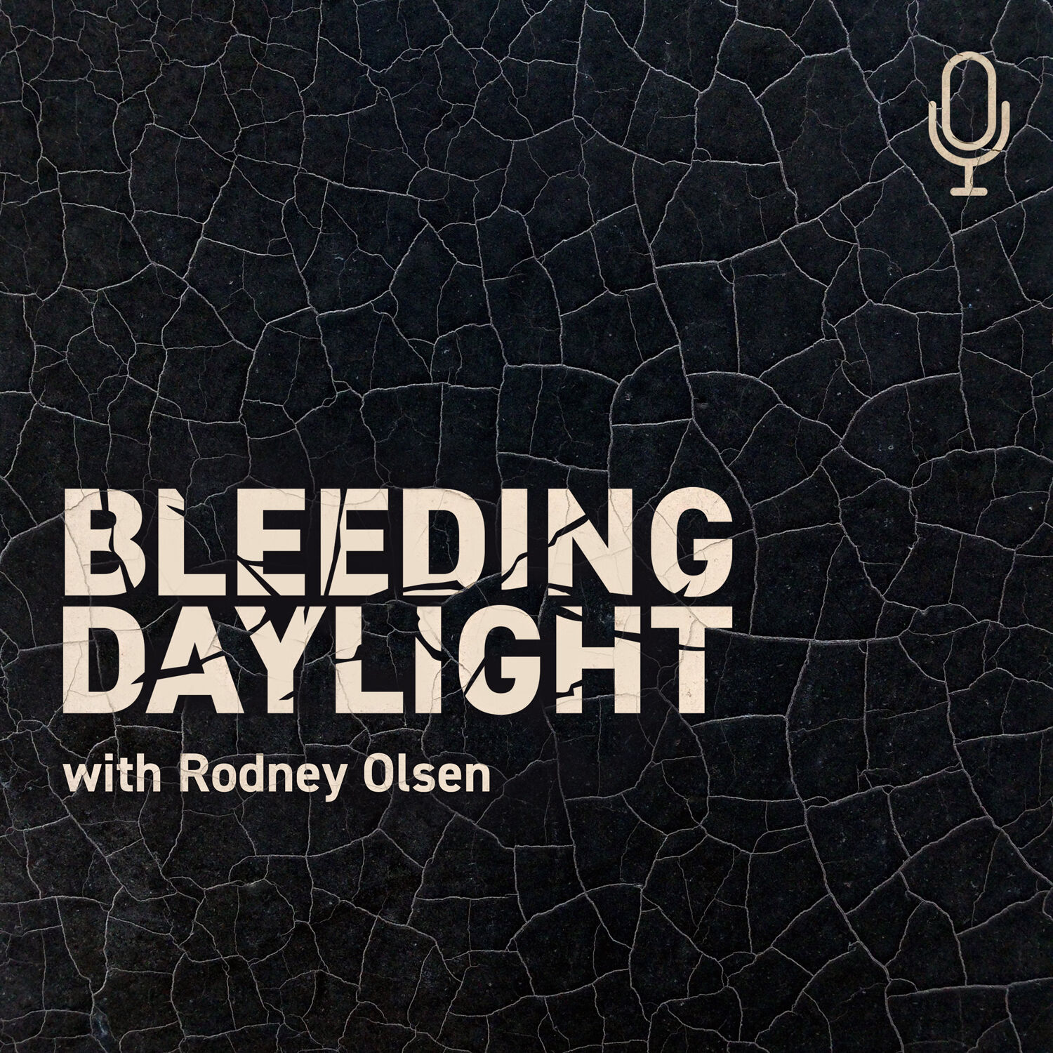 Bleeding Daylight with Rodney Olson Cover Art (Black cracking background, light pink words)