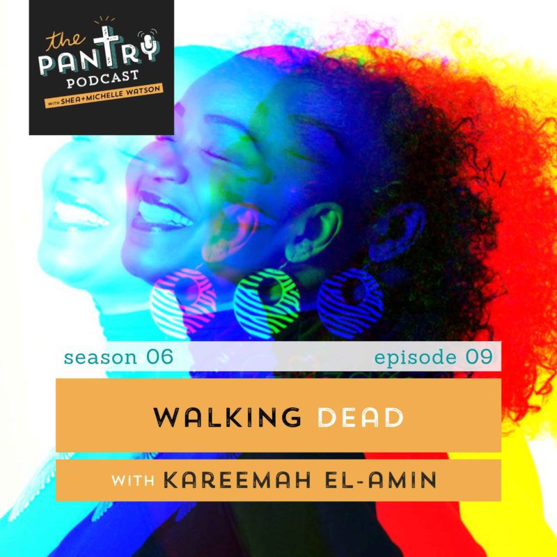 Kareemah El-Amin smiling to the left with teal, red, and yellow shadows splitting off in different directions. Walking Dead episode cover.