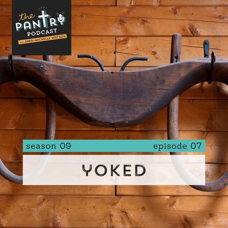 Wooden yoke hanging on metal hooks in front of wooden wall.