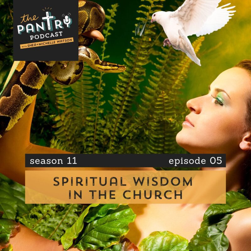 Where's the wisdom in the Church?