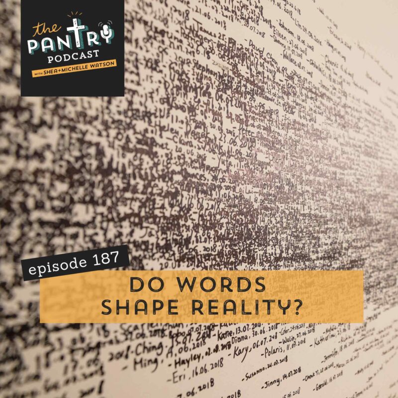 Do Words Shape Reality? Can you speak things into existence? Is manifesting new age?
