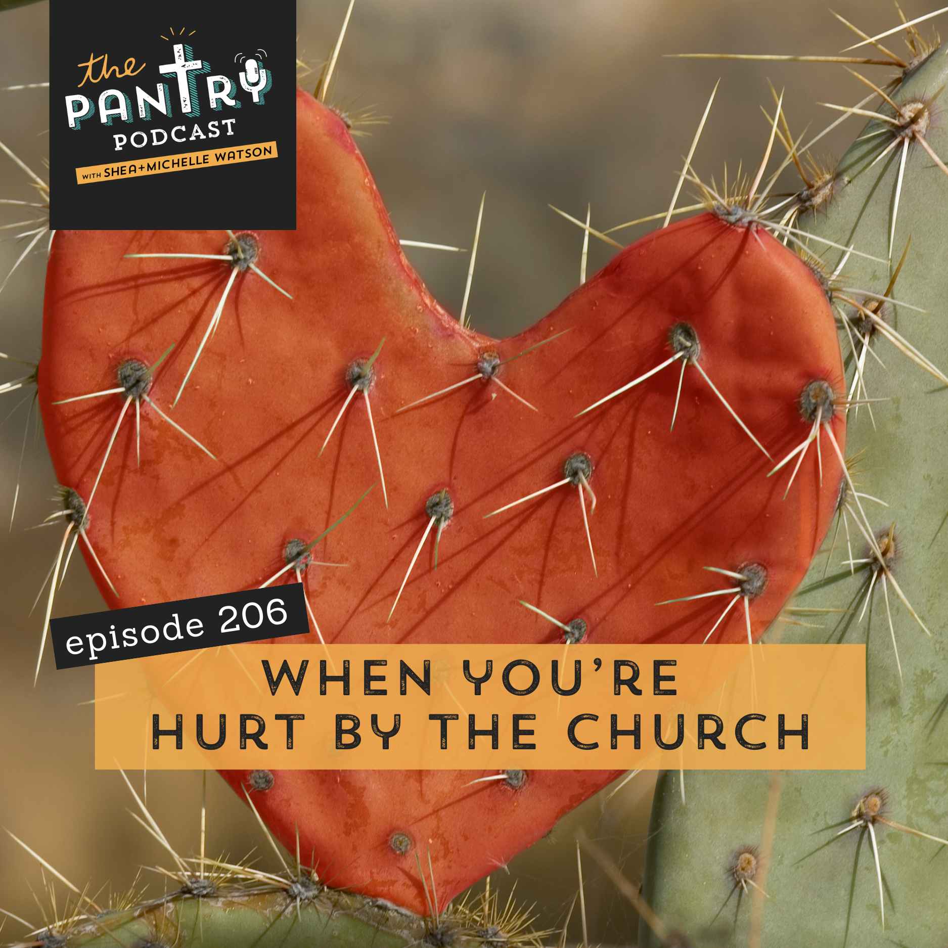 206: Biblical Next Moves for Church Hurt