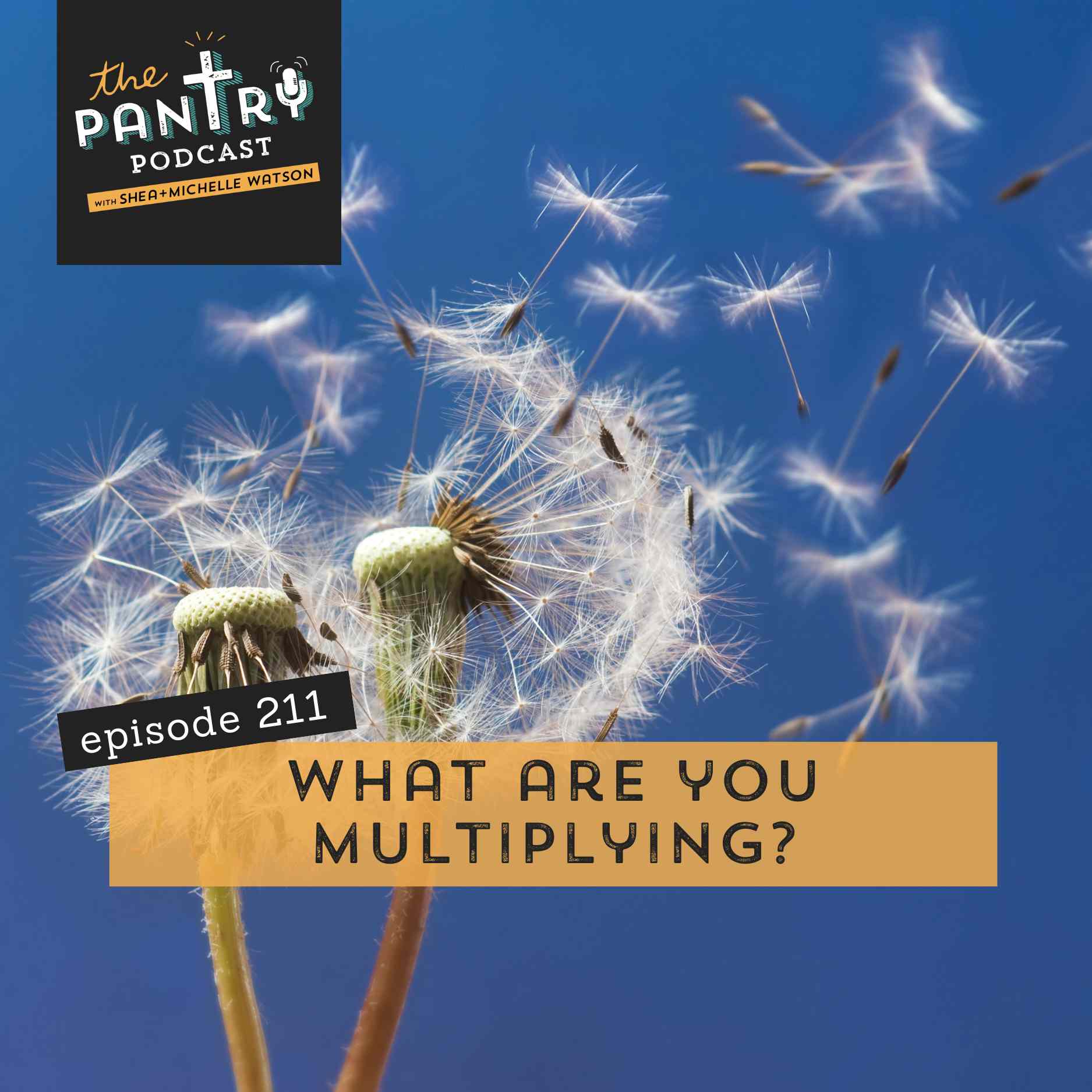 211: What Are You Multiplying?